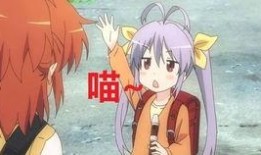 猫教官洛天依最新爆料,猫教官洛天依最新爆料背后的故事